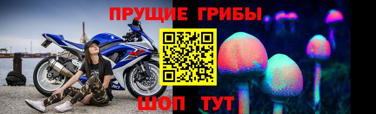 Коломна  Галлюциногенные грибы Psilocybine cubensis  Вход с VPN 