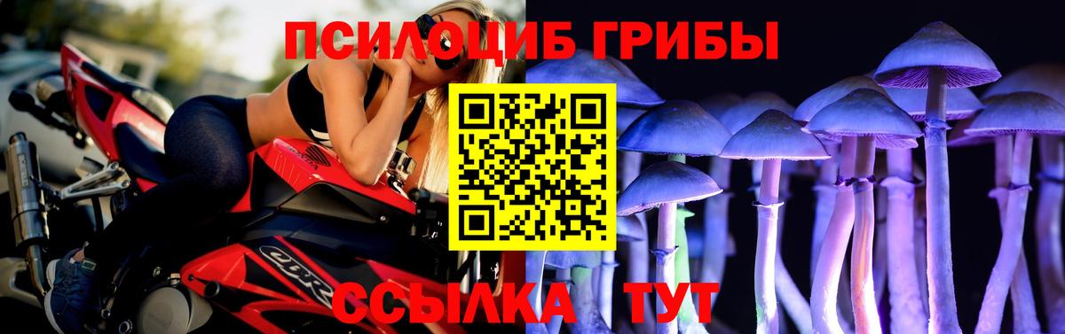 Псилоцибиновые грибы ЛСД Коломна
